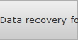 Data recovery for Hastings data